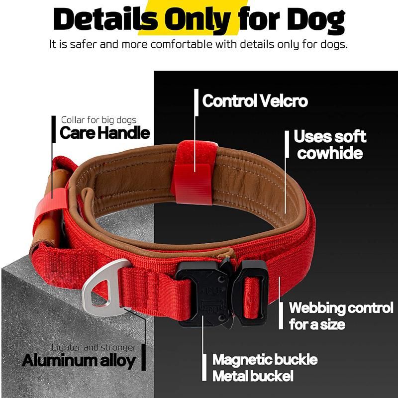 Adjustable Metal Buckle Easy Control Soft Cowhide Padded Tactical Dog Collar with Traffic Handle