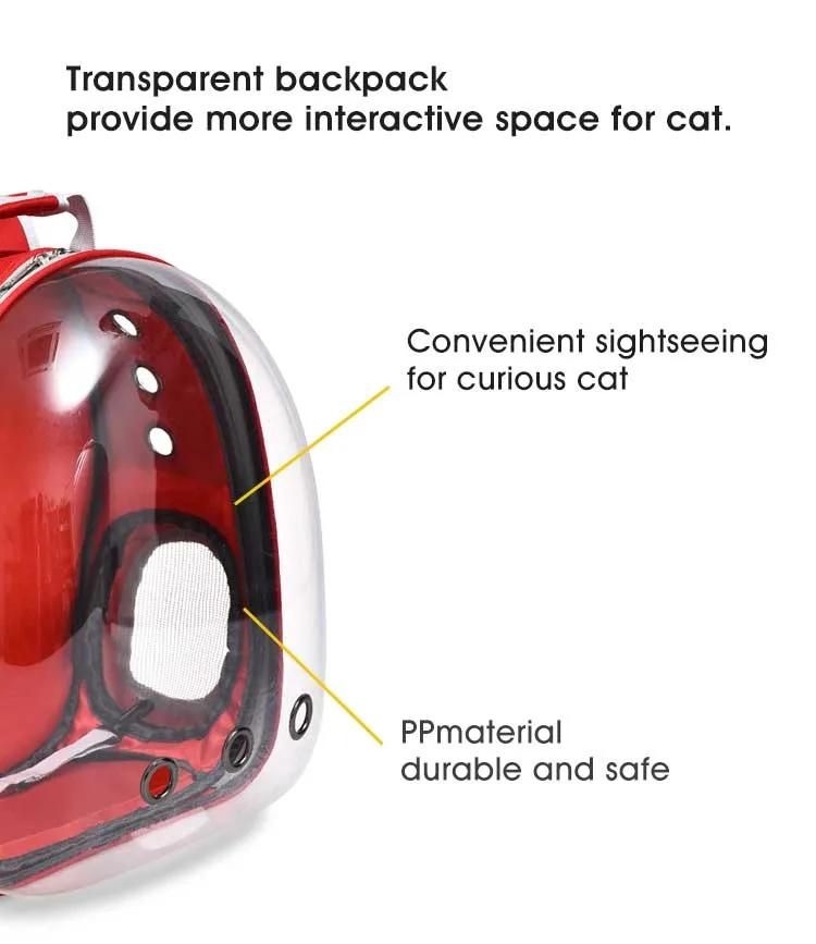 Transparent Design Durable Breathable Cat Backpack Cat Carrier Bag with Handle