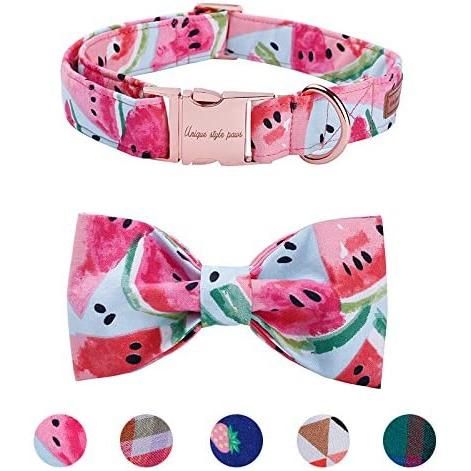 2021 Best Selling Sublimation Heat Transfer Metal Hardwear Dog Collar Set