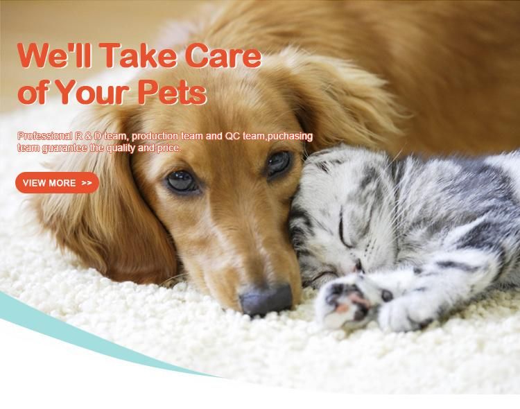 New Design Household Soft Comfortable Pet Bed Cat Sofa Dog Cushion Pet Supplies Dog