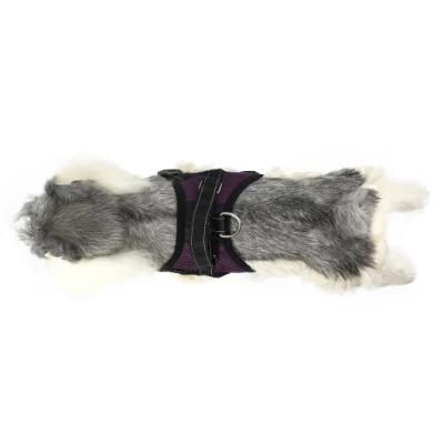 No Pull Stocked Outdoor Air Mesh Breathable Harness Dog Products
