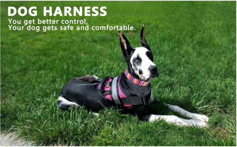 3m Reflective Anti-Tear 7 Colors Big Dog Collar Harness