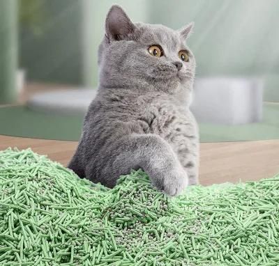 Newest Hot Buy Pet Cat Litter Manufacturer Factory Quick Clumping Cheap Price Kitty Strip Tofu Cat Litter