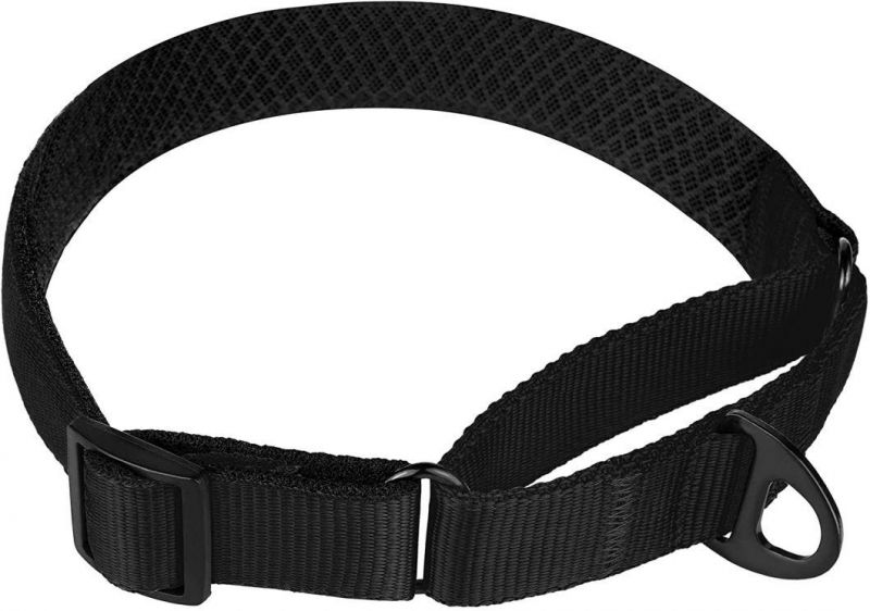 Soft Padded Durable Training Pet Collars with Multiple Colors