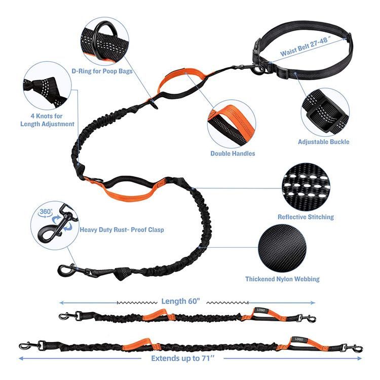 Dual Handle Nylon Reflective Bungee Hands Free Dog Leash