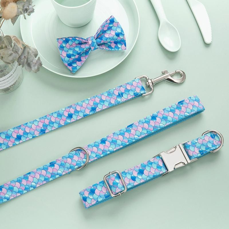 Wholesale Free Sample Dog Accessories Neoprene Durable Dog Collar Designer