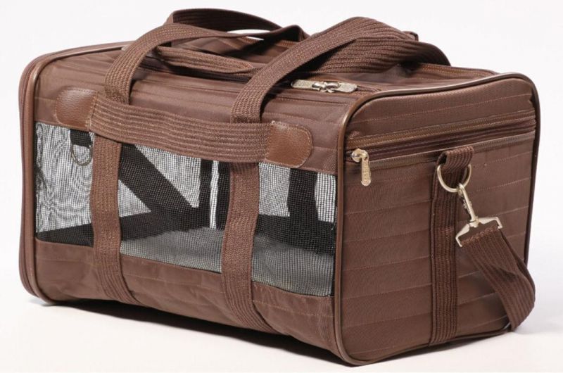 Luxury Cat Bag Pet Bag Small Backpack Folding Teddy Supplies Dog Bag Cat Travel Bag Portable Dog Bag