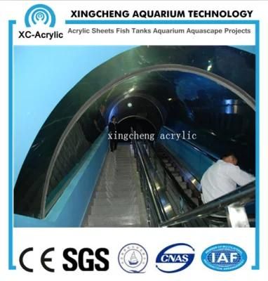 Customized Transparent Acrylic Aquarium Supplier Produce Acrylic Aquarium for Aquarium Project