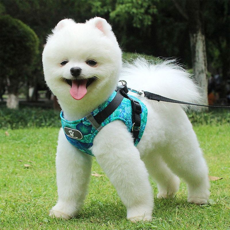 Beautiful Ocean Reduce Pressure Pet Harness with Leash for Dog Cat