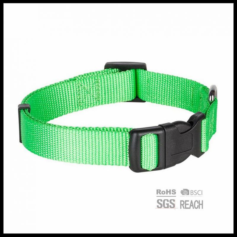 Pet Supply Products Accesories Martingale Blue Nylon Dog Traning Collar
