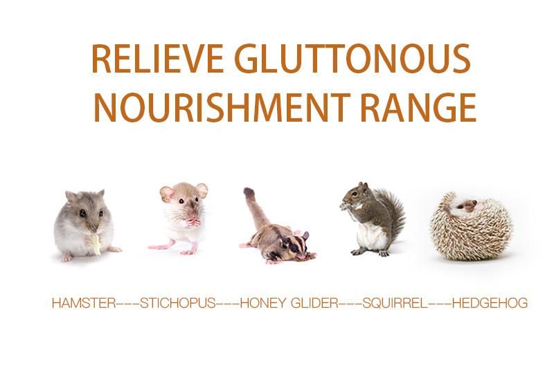 Yee Hamster Nutrition Snacks Fattening Supplies Meat for Pets