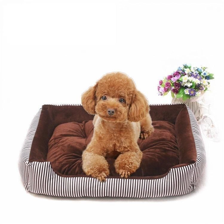 Anti Anxiety Comfy Pet Bed Calming