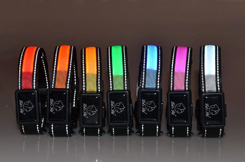 USB Rechargeable LED Nylon Dog Collar Night Safety Glow Flashing Pet Collar