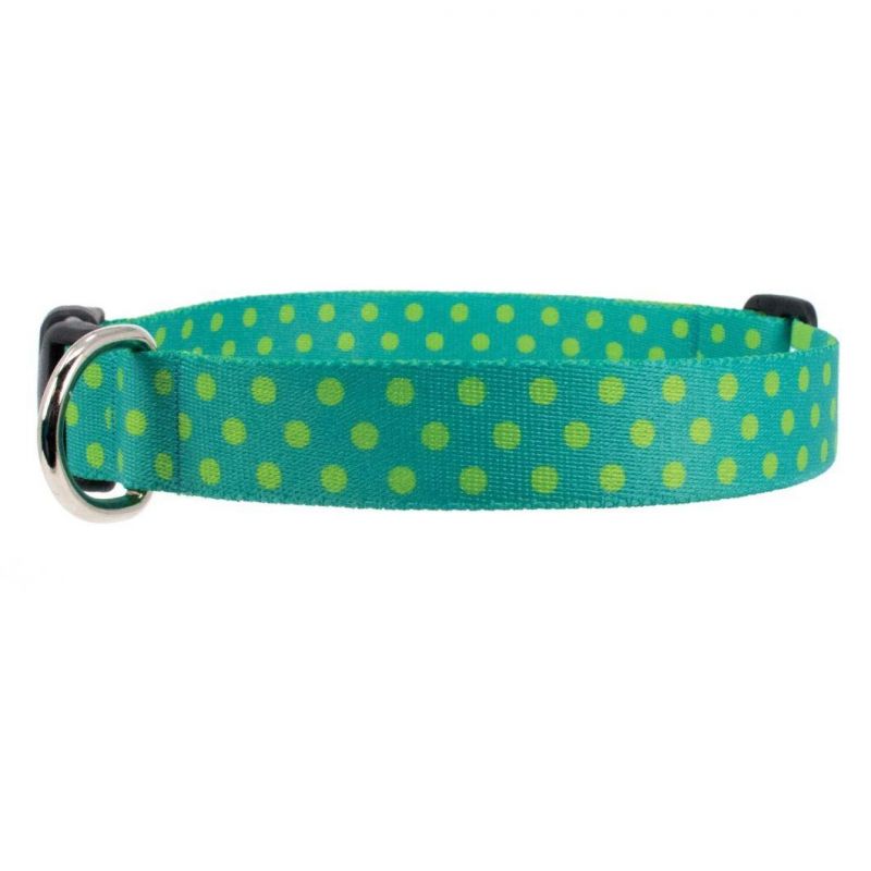 Hot Selling Colorful Hot Transfer Printed Cute Dots Dog Collar