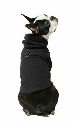 Coldproof Dog Jacket with Hat