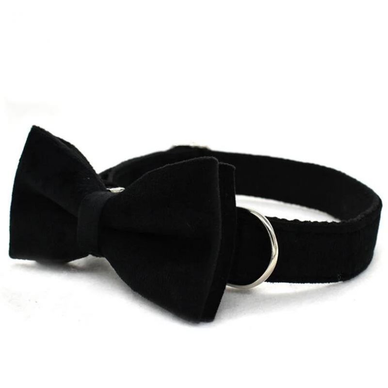 Classic Velvet Dog Collar with MOQ50PCS in Mixed Colors and Pattern Design