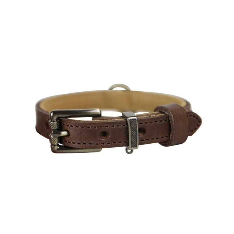 Fast Delivery of Genuine Dog Collar with Multiple Colors Option