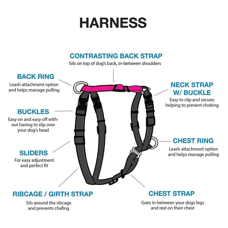 High Quality Fully Customizable Fit No-Pull Harness, Dog Harness for Dog Training and Obedience