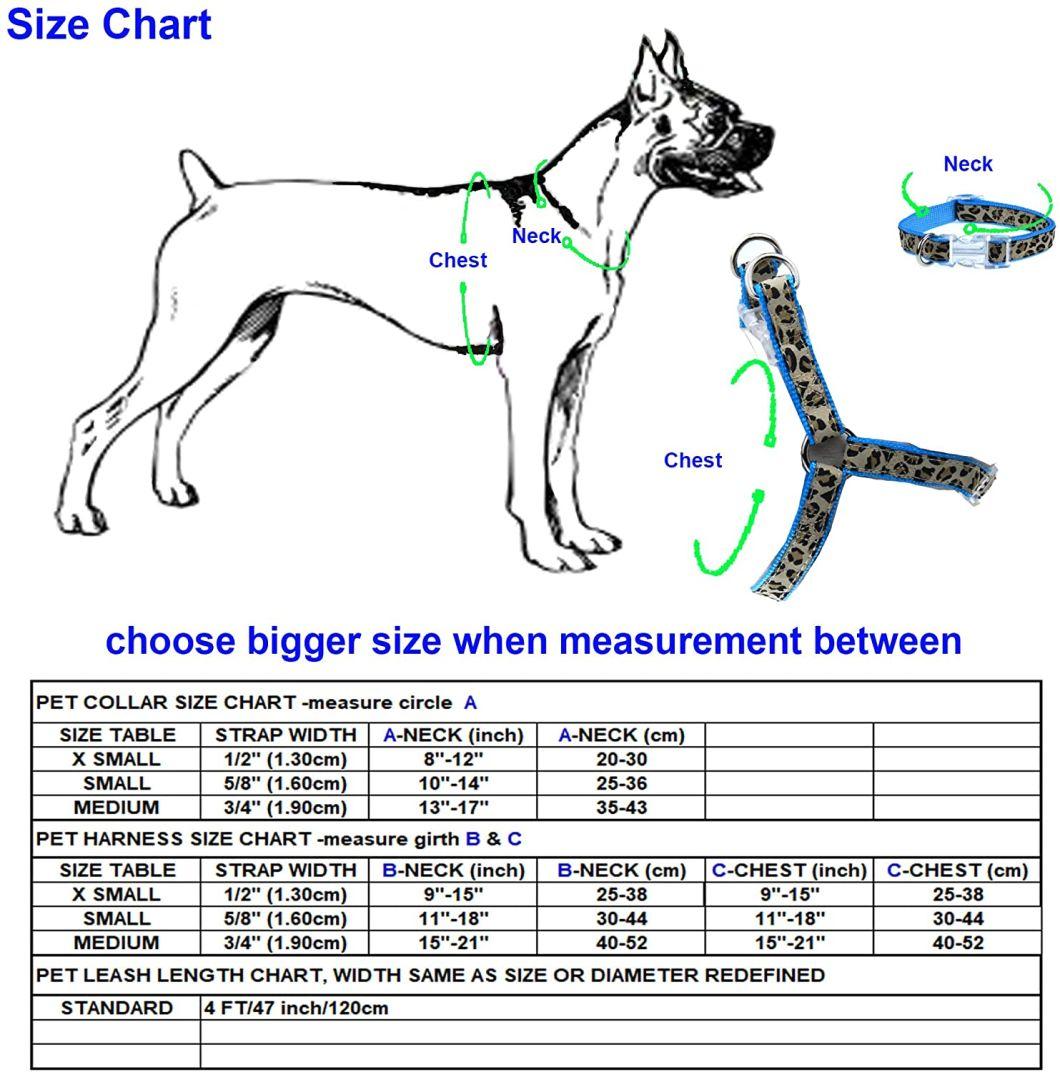 Fashion Buddies Dog Collar, Leash, Harness Set