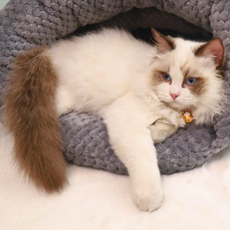 Wholesale Luxury Soft Round Washable Calming Plush Pet Donut Dog Bed Cat Nest Kennel Cave Winter Warm Sleep Donut Cat Bed