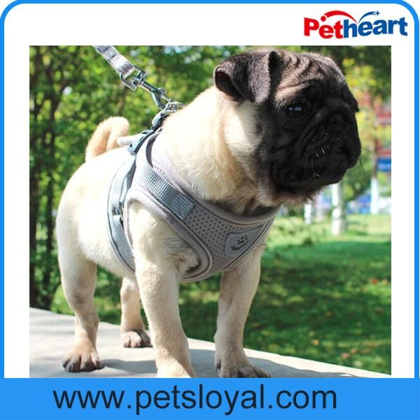 Amazon Hot Sale Cheap Pet Dog Harness with Lead