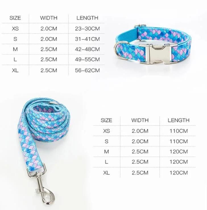 Wholesale Luxury Personalized Custom Printing Metal Logo Buckle Pet Dog Collar