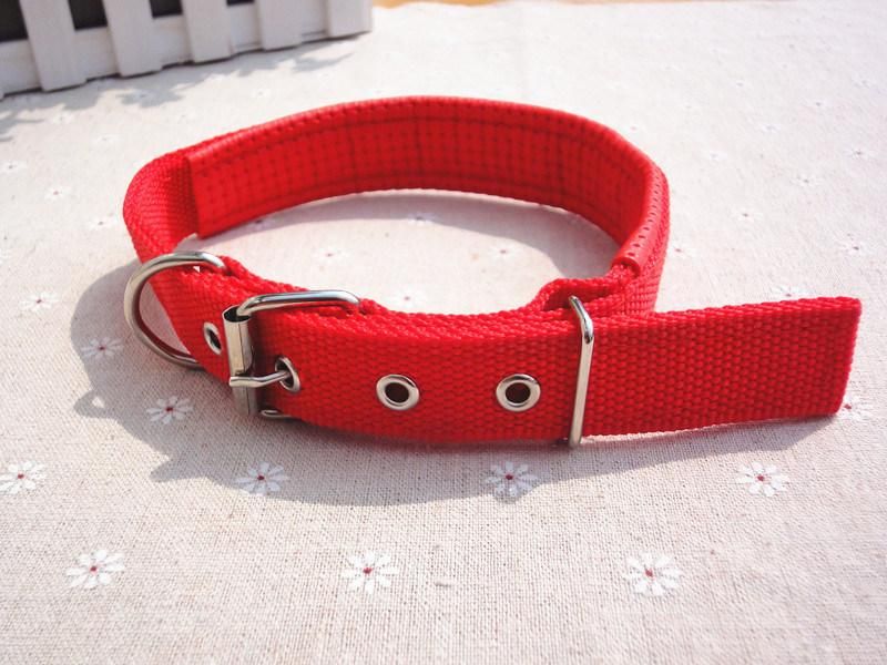 Manufacturer Wholesale Multi-Colors Printed Adjustable Nylon Cat Dog Collar