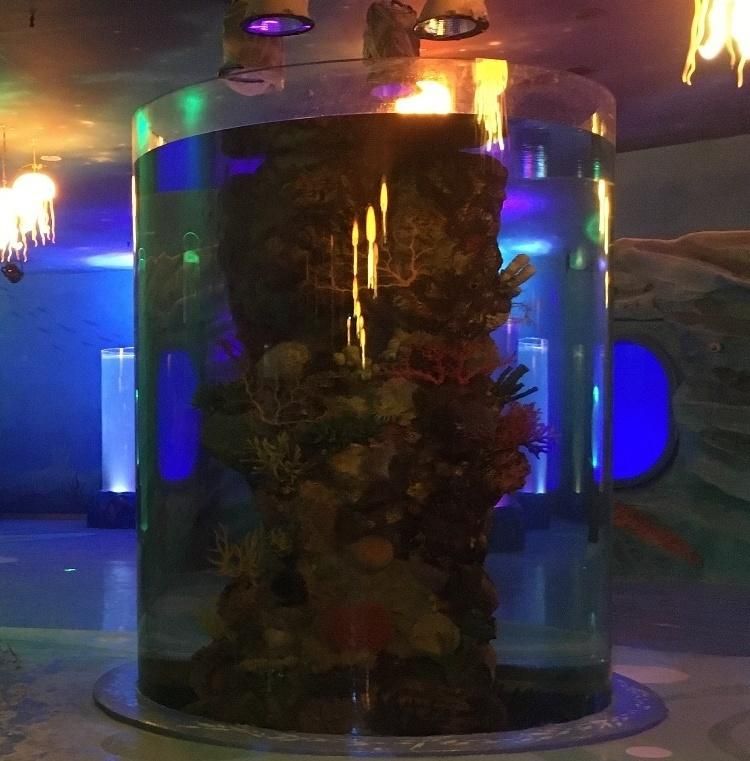 2020 Cylindrical Acrylic Aquarium Tank Project