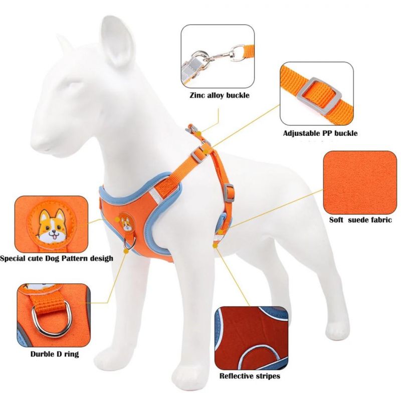 Fashionable Charming Dog Harness with Matching Dog Leash