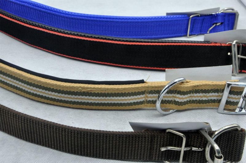 High Quality Pet/Dog/Cat Animal Buckle Adjustable Strip Collar (PCZW21042)