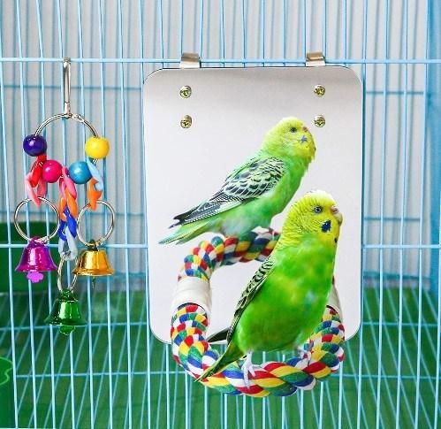 2 PCS Pack Bird Parrot Mirror Bird Mirror Toy Bird Rope Chew Bell Bite Toys