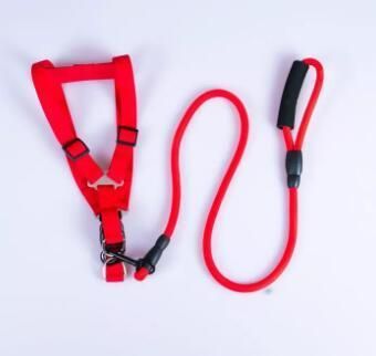 OEM Design Chain Dog Leashes