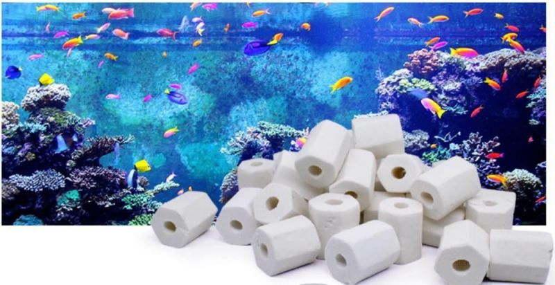 Fish Tank Aquarium Water Filter Media Hexagonal Bio Glass Ceramic Ring for Water Treatment 20mm