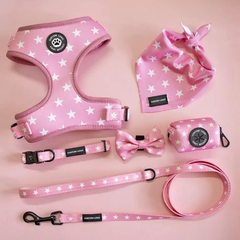 Full Body H Dog Harness Set with Customized Pattern Soft Neoprene Pet Harness Dog Accessories