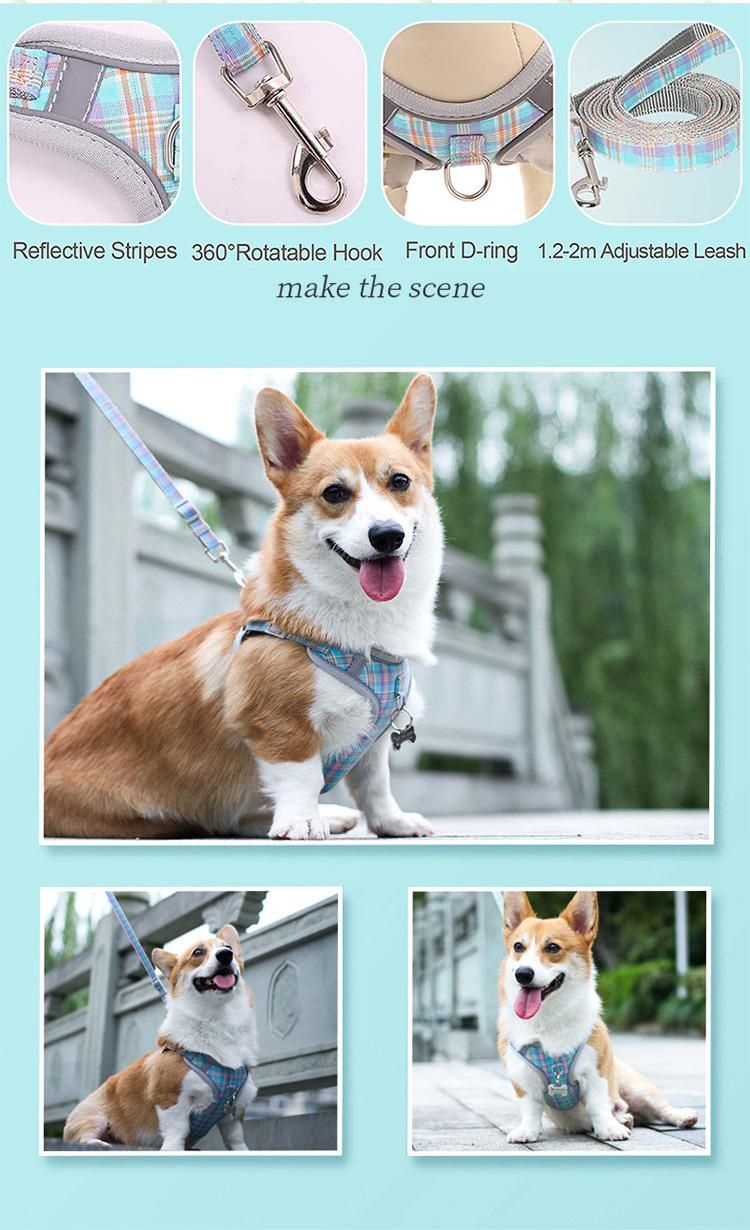 Wholesales Luxury Pet Harness and Leash Set Nylon Dog Harness