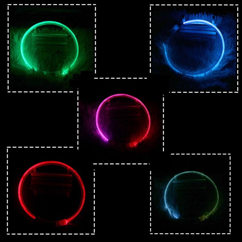 USB Charging Pet Collar LED Tube Flashing Night Dog Collars Glowing Safety Pets Collar