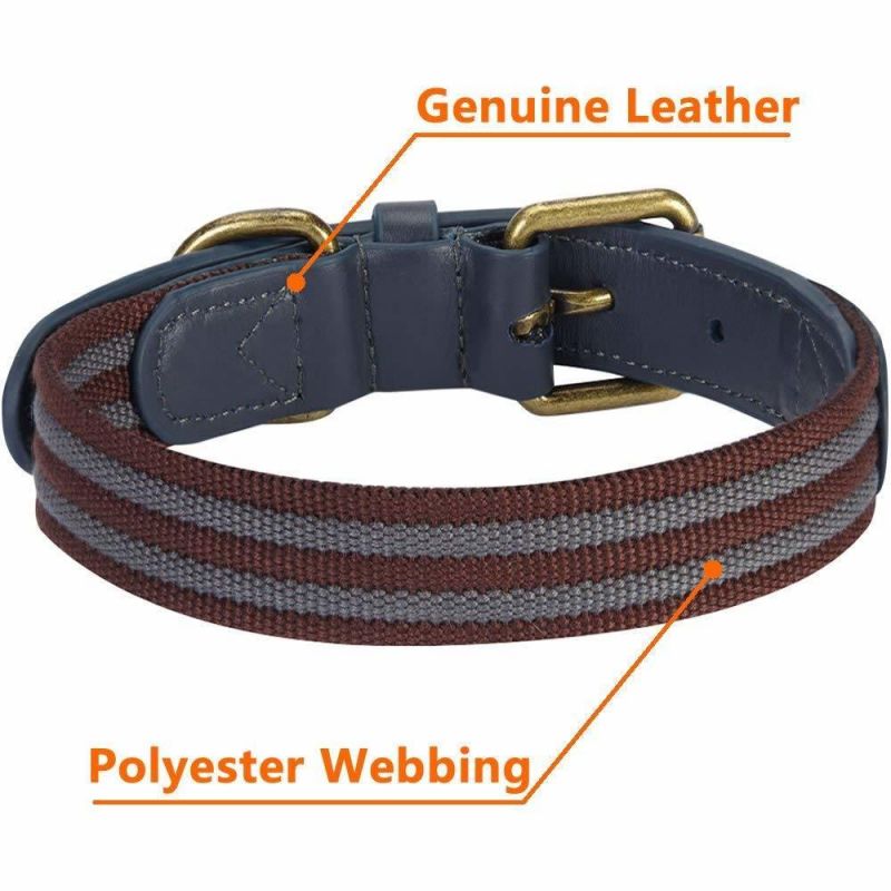 High Quality Round Soft Leather Dog Pet Collar with The Latest Design