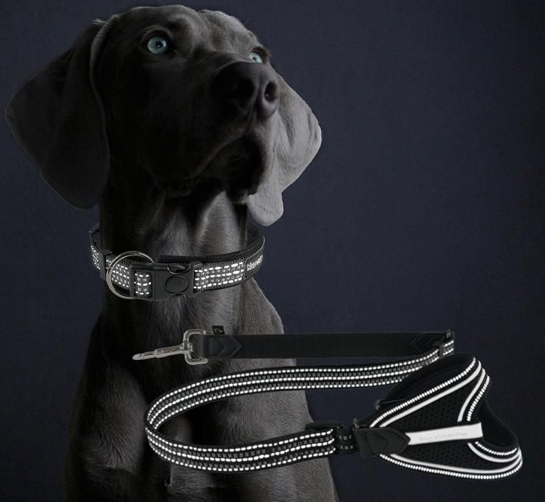 High Quality Reflective Nylon Training Walking Traction Rope Lead Glove Type Dog Leash and Dog Collar