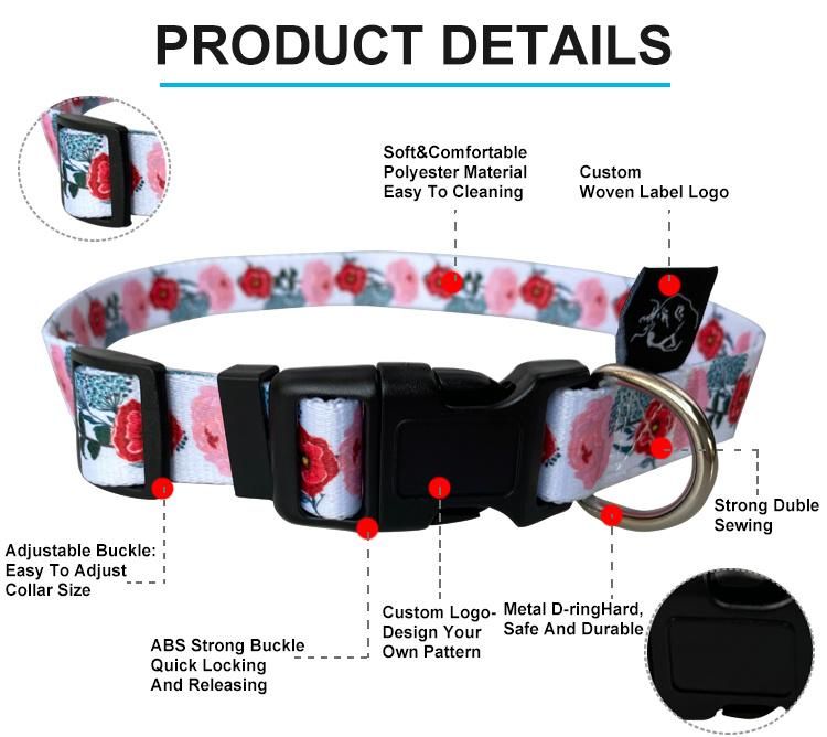 Pet Products Nylon Leather Dog Collar Leash Set with Custom Paper Card Packaging