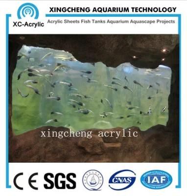Customized Large Transparent Aquarium Restaurant Project Price