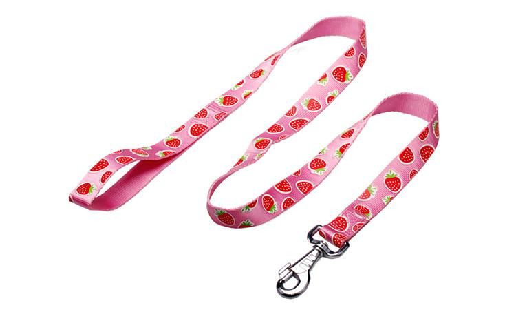 New Fashion Pet Products Large Nylon Custom Print Pink Dog Leash with Logo