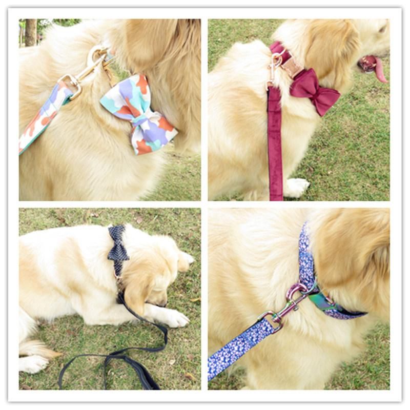 Wholesale Colorful Custom Logo Pets Accessories Nylon Dog Collars and Leads for Pet Supplier