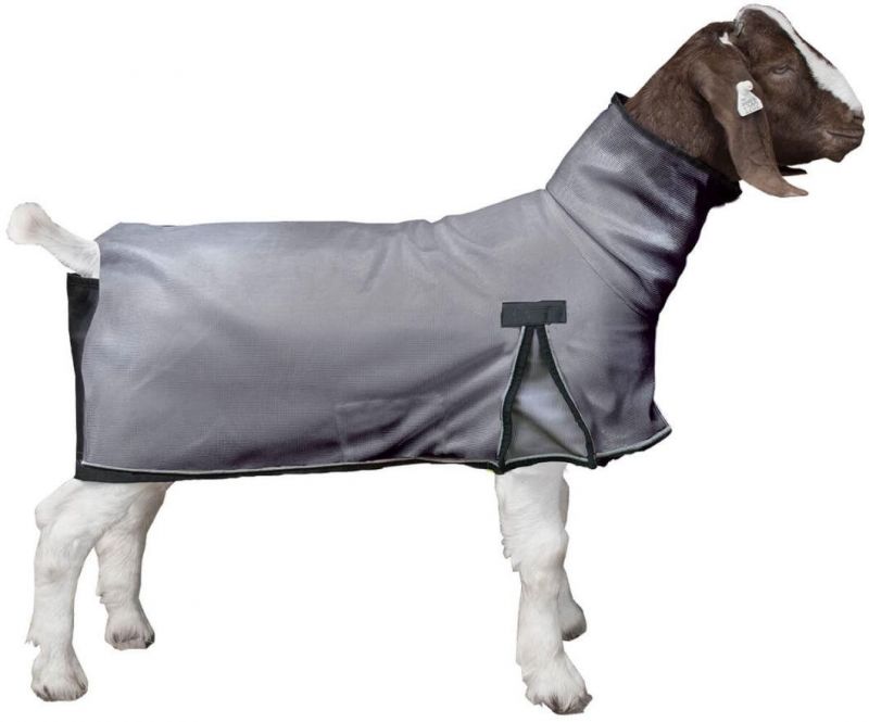 Procool Mesh Goat Blanket