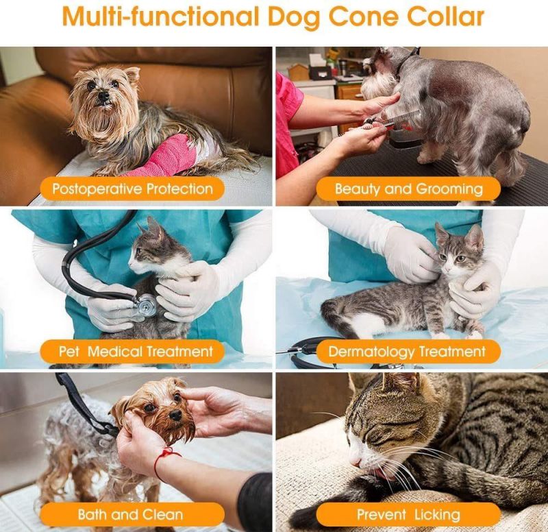 Pet Elizabethan Circle Plastic Collar Pet Dog Recovery Collar