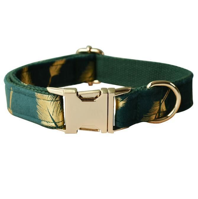 Comfortable and Easy to Clean Luxury Dog Collar