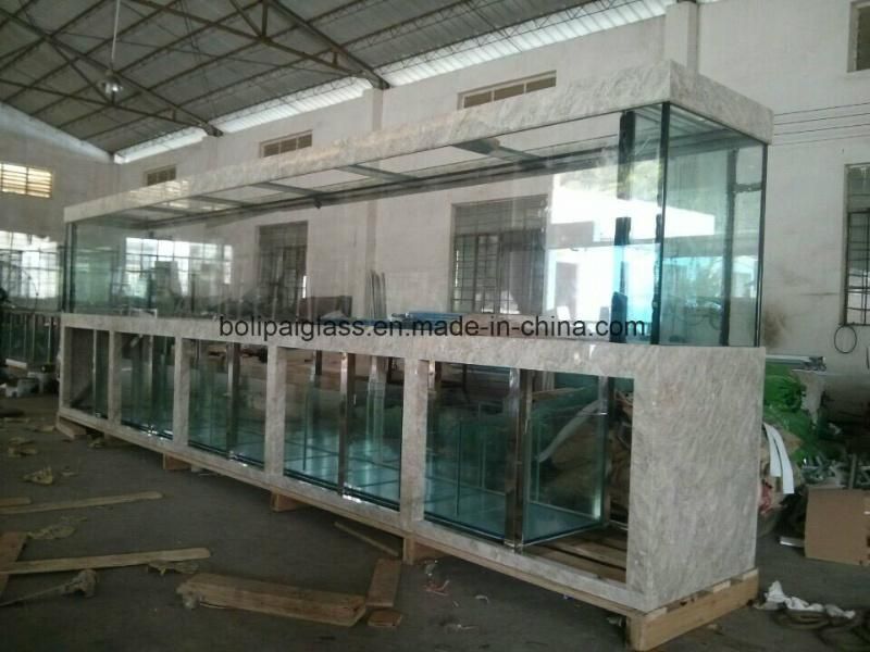 Custom High Quality Curve Ultra Clear Glass Aquarium