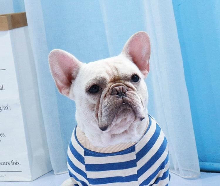 Dog Clothes Summer Spring Winter Autumn Cotton Printed Stripe Pet Dog Clothes for Small Medium Dogs Cats Accessories