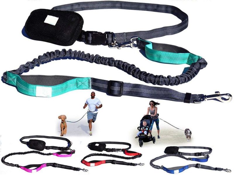 Adjustable Length Dual Handle Bungee Leash Pet Dog Leash