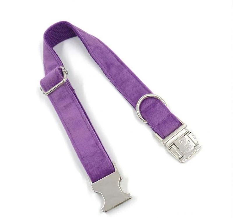 Pet Supplies Factory Best Price High End Dog Collars Puppy Training Collars Soft Purple Velvet Dog Leash Bow Tie