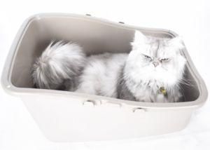High Quality Fully Enclosed Cat Litter Box Cat Toilet N